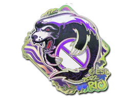 Sticker Outsiders (Holo) | Rio 2022 - Preço e onde comprar no CS2