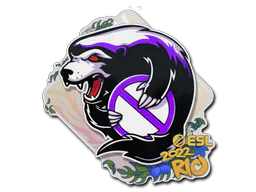 Sticker Outsiders | Rio 2022 - Preço e onde comprar no CS2