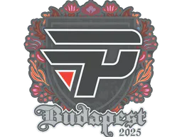 Sticker paiN Gaming | Budapest 2025 - Preço e onde comprar no CS2