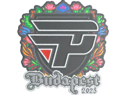 Sticker paiN Gaming (Embroidered) | Budapest 2025 - Preço e onde comprar no CS2