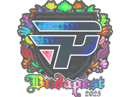 Sticker paiN Gaming (Holo) | Budapest 2025 - Preço e onde comprar no CS2
