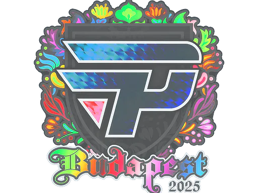 Sticker paiN Gaming (Holo) | Budapest 2025 - Preço e onde comprar no CS2