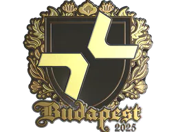 Sticker PARIVISION (Gold) | Budapest 2025 - Preço e onde comprar no CS2
