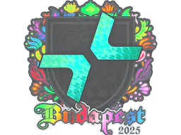 Sticker PARIVISION (Holo) | Budapest 2025 - Preço e onde comprar no CS2