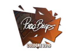 Sticker pashaBiceps | Cologne 2016 - Preço e onde comprar no CS2