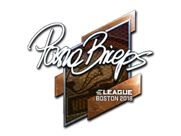 Sticker pashaBiceps (Foil) | Boston 2018 - Preço e onde comprar no CS2