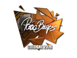 Sticker pashaBiceps (Foil) | Cologne 2016 - Preço e onde comprar no CS2