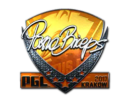 Sticker pashaBiceps (Foil) | Krakow 2017 - Preço e onde comprar no CS2