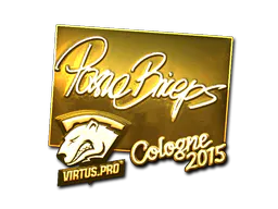 Sticker pashaBiceps (Gold) | Cologne 2015 - Preço e onde comprar no CS2