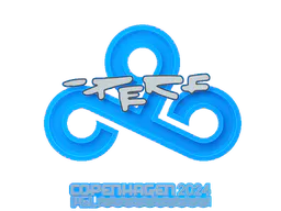 Sticker Perfecto | Copenhagen 2024 - Preço e onde comprar no CS2