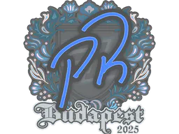 Sticker PR | Budapest 2025 - Preço e onde comprar no CS2