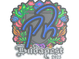 Sticker PR (Embroidered) | Budapest 2025 - Preço e onde comprar no CS2