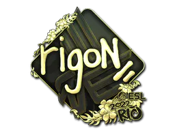Sticker rigoN (Gold) | Rio 2022 - Preço e onde comprar no CS2