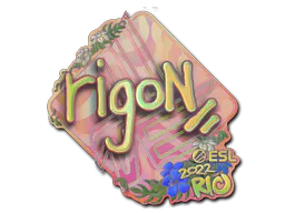 Sticker rigoN (Holo) | Rio 2022 - Preço e onde comprar no CS2