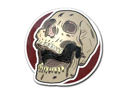 Sticker Rising Skull - Preço e onde comprar no CS2