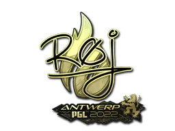 Sticker roeJ (Gold) | Antwerp 2022 - Preço e onde comprar no CS2