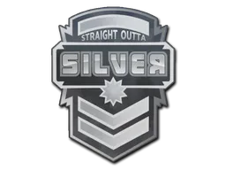 Sticker Silver - Preço e onde comprar no CS2