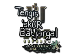 Sticker sk0R | Antwerp 2022 - Preço e onde comprar no CS2