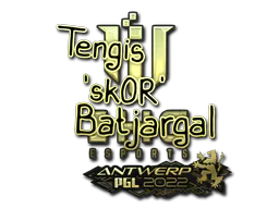 Sticker sk0R (Gold) | Antwerp 2022 - Preço e onde comprar no CS2