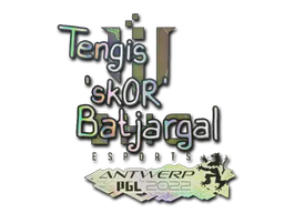 Sticker sk0R (Holo) | Antwerp 2022 - Preço e onde comprar no CS2