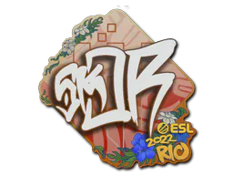 Sticker sk0R | Rio 2022 - Preço e onde comprar no CS2