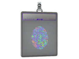 Sticker Slab Evidence (Holo) - Preço e onde comprar no CS2