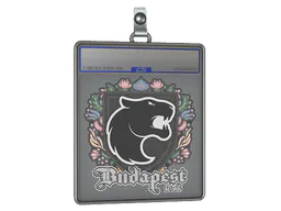 Sticker FURIA | Budapest 2025 - Preço e onde comprar no CS2