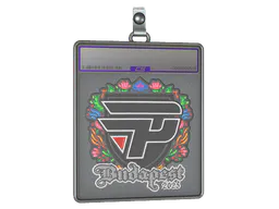 Sticker paiN Gaming (Embroidered) | Budapest 2025 - Preço e onde comprar no CS2