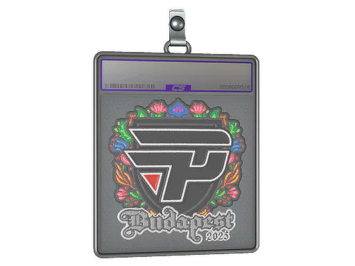 Sticker Slab paiN Gaming (Embroidered) | Budapest 2025 - Preço e onde comprar no CS2