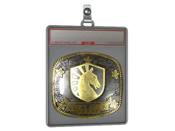 Sticker Team Liquid (Gold) | Austin 2025 - Preço e onde comprar no CS2