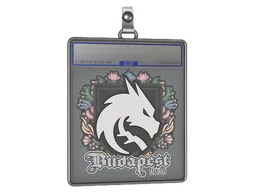 Sticker Team Spirit | Budapest 2025 - Preço e onde comprar no CS2