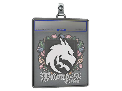 Sticker Slab Team Spirit | Budapest 2025 - Preço e onde comprar no CS2