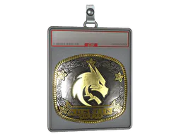 Sticker Team Spirit (Gold) | Austin 2025 - Preço e onde comprar no CS2