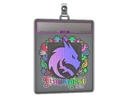 Sticker Team Spirit (Holo) | Budapest 2025 - Preço e onde comprar no CS2