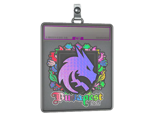 Sticker Slab Team Spirit (Holo) | Budapest 2025 - Preço e onde comprar no CS2