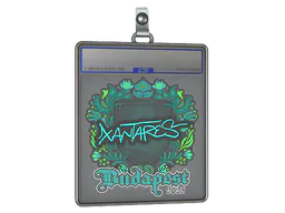 Sticker XANTARES | Budapest 2025 - Preço e onde comprar no CS2