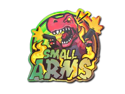 Sticker Small Arms (Holo) - Preço e onde comprar no CS2