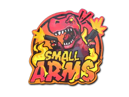 Sticker Small Arms - Preço e onde comprar no CS2
