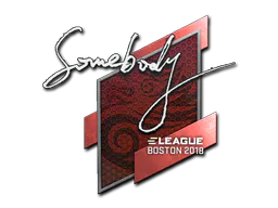 Sticker somebody | Boston 2018 - Preço e onde comprar no CS2