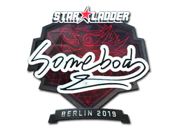 Sticker somebody (Foil) | Berlin 2019 - Preço e onde comprar no CS2