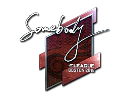 Sticker somebody (Foil) | Boston 2018 - Preço e onde comprar no CS2