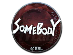 Sticker somebody (Foil) | Katowice 2019 - Preço e onde comprar no CS2