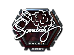 Sticker somebody (Foil) | London 2018 - Preço e onde comprar no CS2