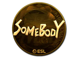 Sticker somebody (Gold) | Katowice 2019 - Preço e onde comprar no CS2