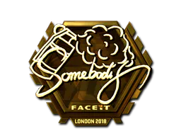 Sticker somebody (Gold) | London 2018 - Preço e onde comprar no CS2