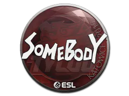 Sticker somebody | Katowice 2019 - Preço e onde comprar no CS2