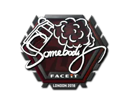 Sticker somebody | London 2018 - Preço e onde comprar no CS2
