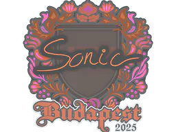 Sticker Sonic | Budapest 2025 - Preço e onde comprar no CS2