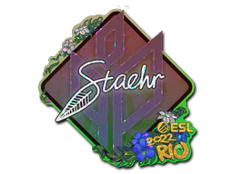 Sticker Staehr (Glitter) | Rio 2022 - Preço e onde comprar no CS2