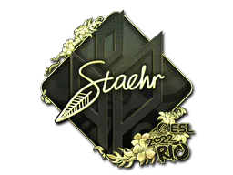 Sticker Staehr (Gold) | Rio 2022 - Preço e onde comprar no CS2
